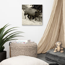 Load image into Gallery viewer, Canvas Print Buffalo in Motion
