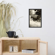 Load image into Gallery viewer, Poster Framed Buffalo in Motion