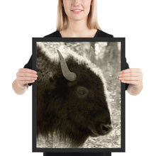 Load image into Gallery viewer, Poster Framed Buffalo Profile