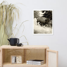 Load image into Gallery viewer, Poster Framed Buffalo in Motion