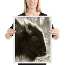 Load image into Gallery viewer, Poster Framed Buffalo Profile
