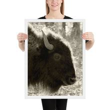 Load image into Gallery viewer, Poster Framed Buffalo Profile