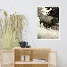 Load image into Gallery viewer, Poster Framed Buffalo in Motion