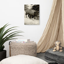 Load image into Gallery viewer, Canvas Print Buffalo in Motion
