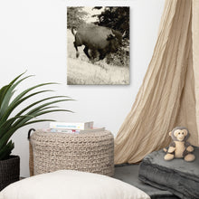 Load image into Gallery viewer, Canvas Print Buffalo in Motion
