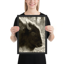 Load image into Gallery viewer, Poster Framed Buffalo Profile
