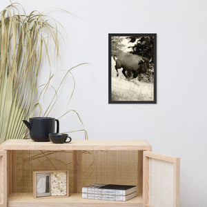 Poster Framed Buffalo in Motion