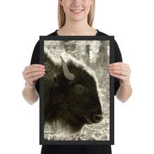 Load image into Gallery viewer, Poster Framed Buffalo Profile
