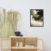 Load image into Gallery viewer, Poster Framed Buffalo in Motion
