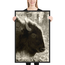 Load image into Gallery viewer, Poster Framed Buffalo Profile
