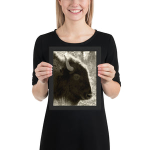 Poster Framed Buffalo Profile