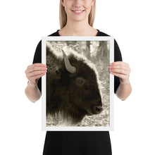 Load image into Gallery viewer, Poster Framed Buffalo Profile
