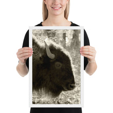 Load image into Gallery viewer, Poster Framed Buffalo Profile
