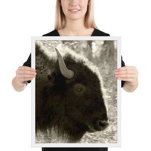 Poster Framed Buffalo Profile