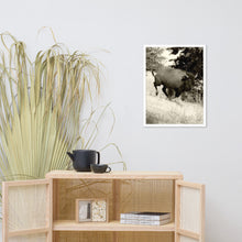 Load image into Gallery viewer, Poster Framed Buffalo in Motion
