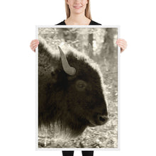 Load image into Gallery viewer, Poster Framed Buffalo Profile
